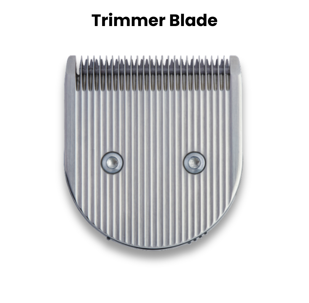 A close-up of a metal clipper blade with two screws on a white background, featuring the text "Clipper Blade Sharpening (non-Diamond Cut Blades)" above in bold, emphasizing the importance of maintaining sharp blades.