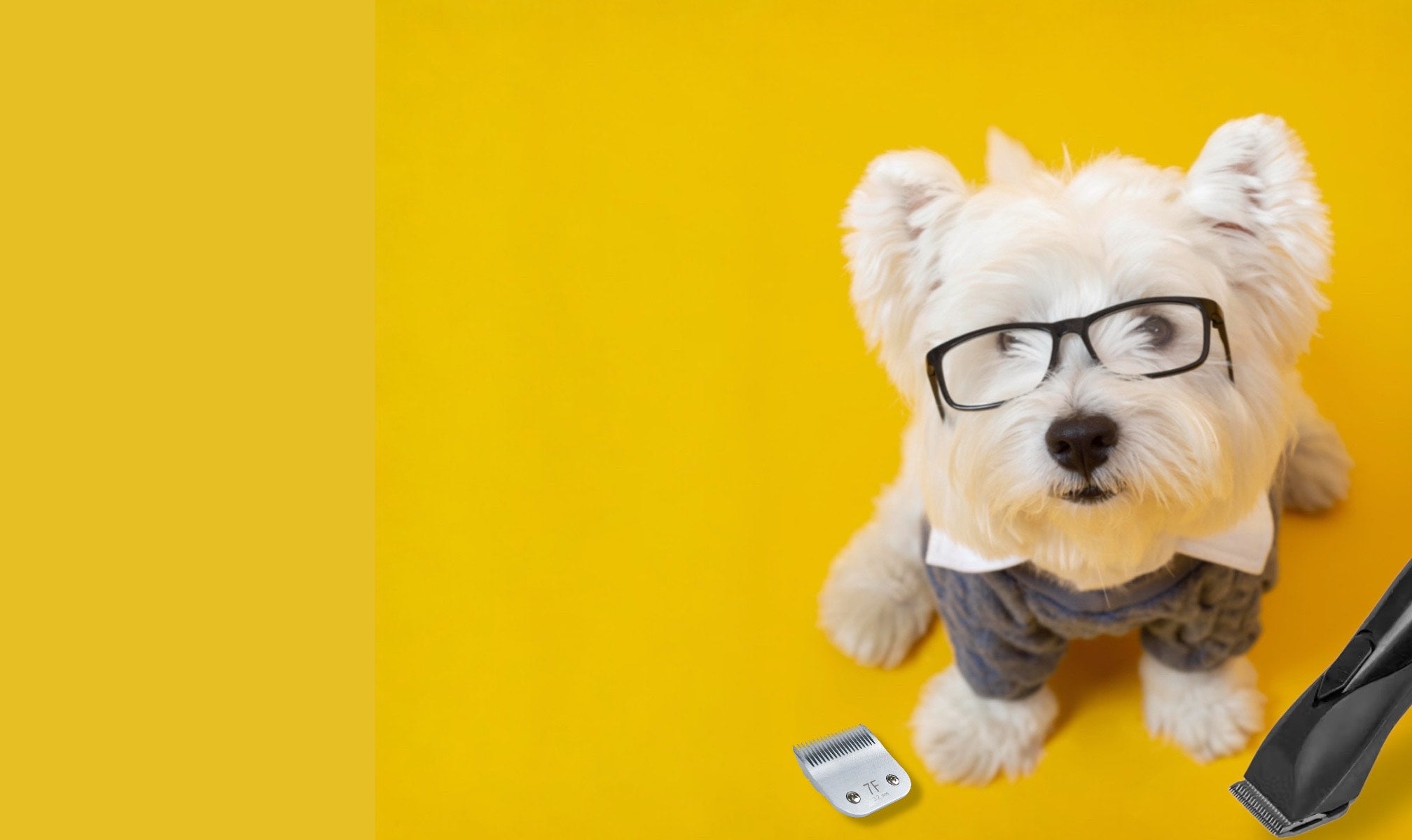 Stuffed toy dog with glasses and a sweater on a yellow background