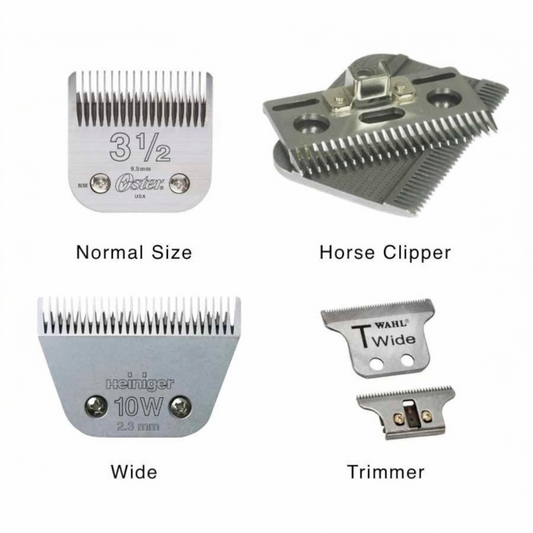 Four clipper blade types—normal, horse, wide, and small trimmer—are clearly labeled for easy ID. Perfect for Tauranga users needing reliable Clipper Blade Sharpening or maintenance.